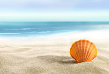 利物浦反超淘汰对手，晋级四强