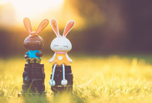 意大利队横扫保加利亚，晋级欧预赛八强