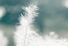 利物浦反超淘汰对手，晋级四强