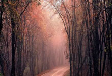 九游体育app-羽毛球男单激情对决：场面混乱背后的精彩瞬间