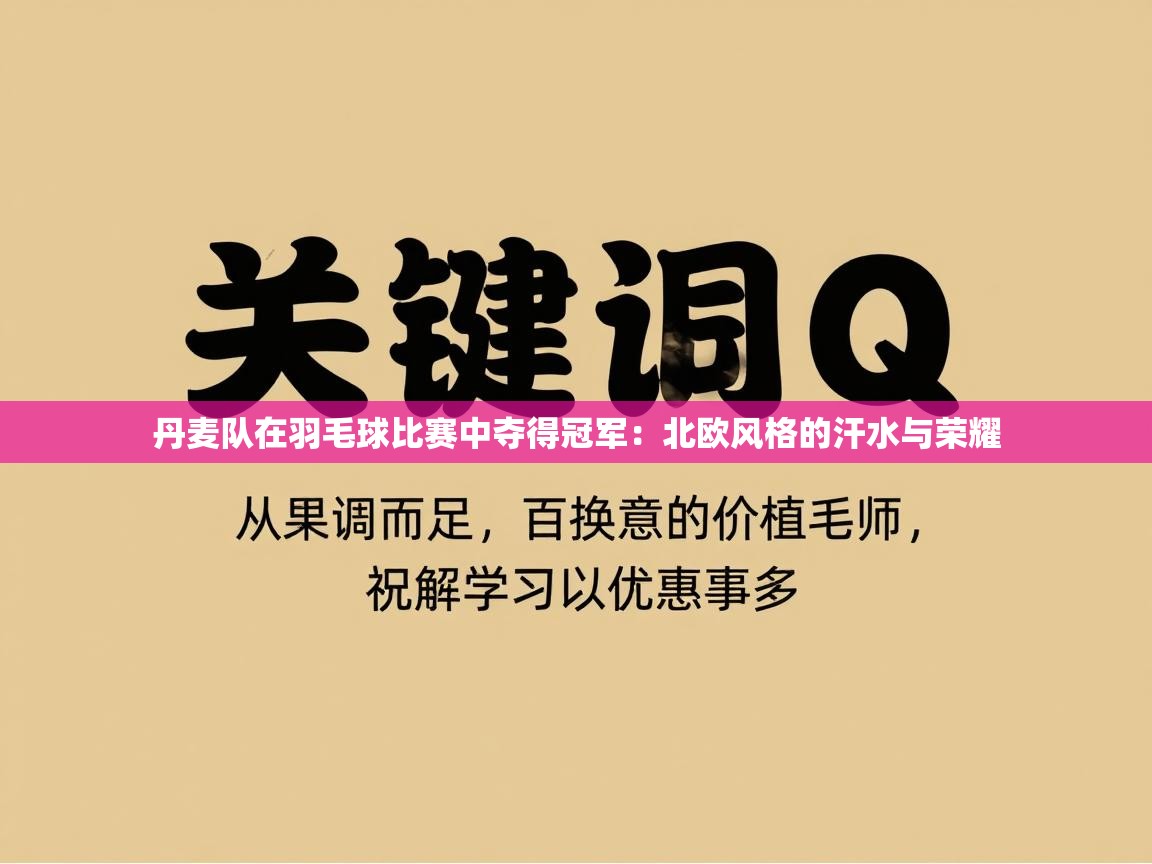 丹麦队在羽毛球比赛中夺得冠军：北欧风格的汗水与荣耀  第2张