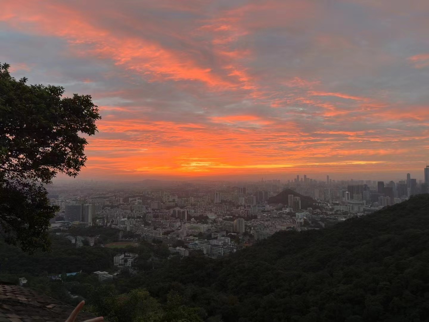 包含夺冠热门受追捧,能否一路顺风?的词条 包含夺冠热门受追捧,能否一路顺风?的词条