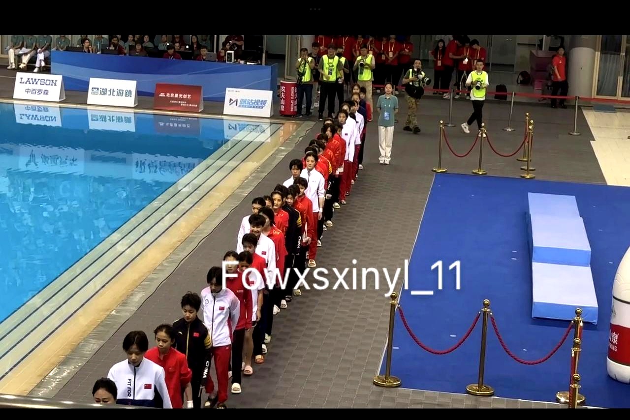 包含中国选手一黑马夺得跳水男子10米台冠军的词条