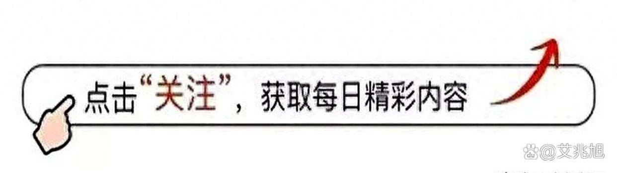 阿尔希拉尔关键球员停赛惩处！