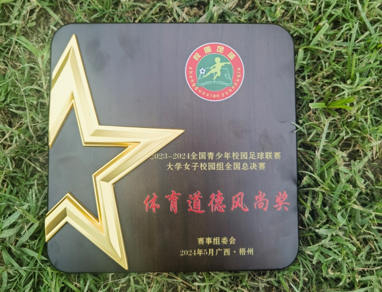 青海队取胜,成功晋级赛事下轮的简单介绍 青海队取胜,成功晋级赛事下轮的简单介绍